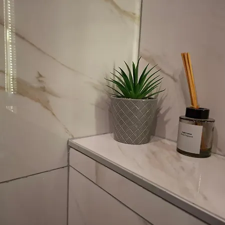 40, Titova Vila, Appartement