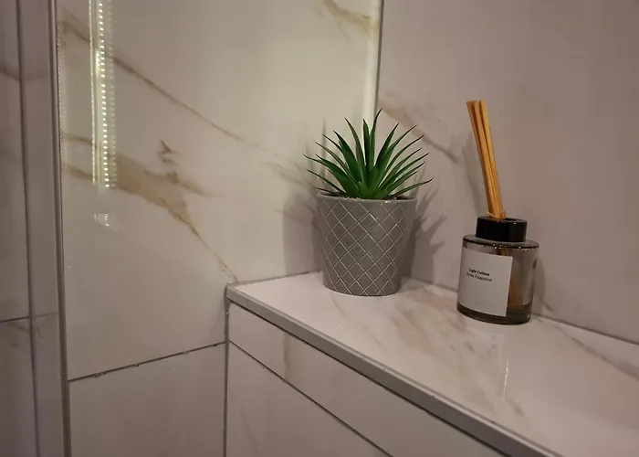 40, Titova Vila, Apartment