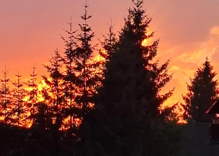 40, Titova Vila, Apartment *